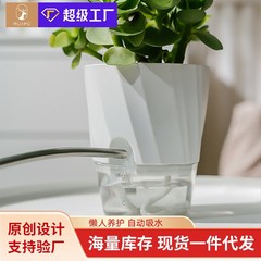 家庭用怠惰な水耕屋内緑大根特別な植木鉢ハイエンド透明プラスチック肥厚器具自己吸収植木鉢