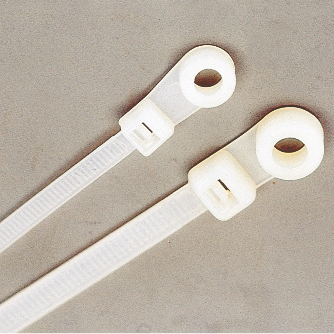 C04 固定锁式扎线带