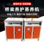 养护蒸养蒸汽发生器蒸汽机