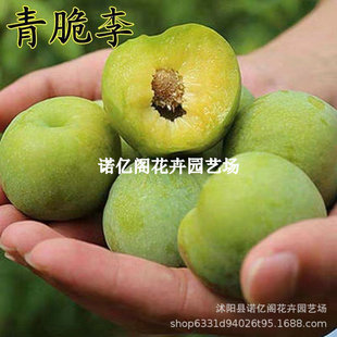 ������Ә���Ó���������ϱ���ͥԺ�����ش�������Լ޽Ӯ���Y��