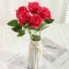 Silk cloth rose red