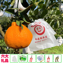 ���Ӽt�����½��Ӵ����ٳ��ٲ�֪���ָ̼���Ě�ȷ���ˮ���B���״�