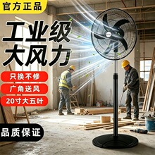 20���I����L�ȼ�������������o���u�^���L����ʽ�����������ʽ