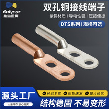 双孔铜鼻子 铜接头铜线鼻线耳双眼16-630平方电缆接头紫铜接线端