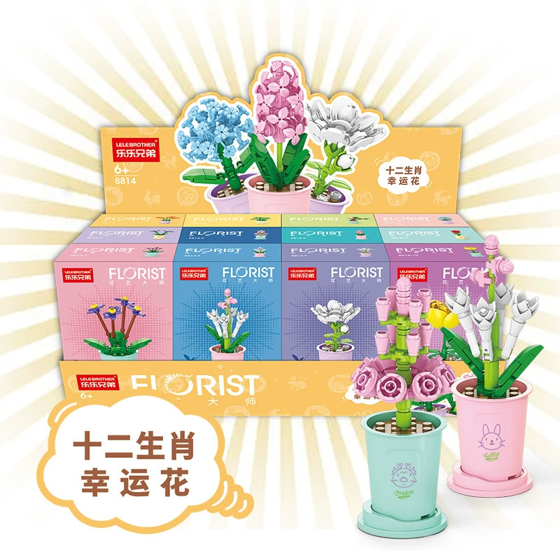 Brother, constructor, toy, small particles, bouquet, DIY, Birthday gift