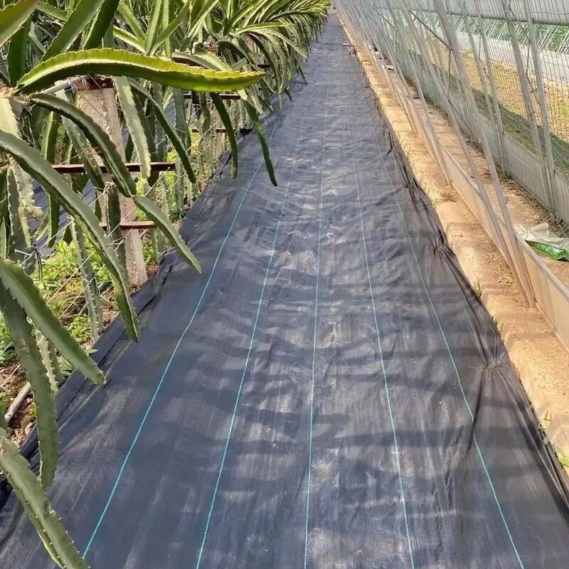 乌鲁木齐防草布塑料布地膜防雨抗晒防水抗老化篷布彩条布现货供应