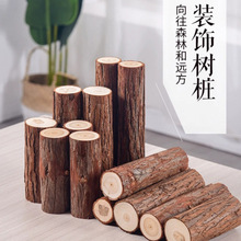 小木桩盲盒底座摆件原木树桩树干拍摄道具手工diy园艺壁炉木制
