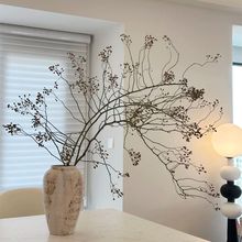 山归来蔷薇果南蛇藤鲜切枝条水养植物新鲜绿侘寂风ins风绿果