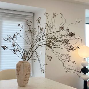 ɽ�w���Nޱ���������r��֦�lˮ�Bֲ�����r�G�����Lins�L�G��