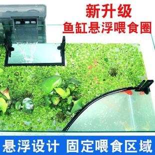 Fish Tank Feeding Ring Feeder Aquarium Fish Food Feeder Buoyancy Feeding Ring Floating Feeding Ring Device to Prevent Dispersion