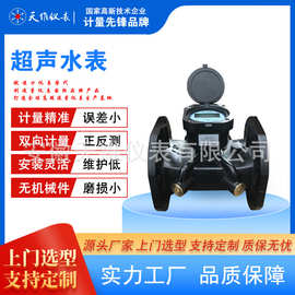 智能自诊断双通道超声水表远传防滴漏抗干扰高精度液体灌溉