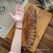 ��S�Y�����r�ڻ�������r�ش��r������߹��Ź��ش�̖�ϻ��r���l