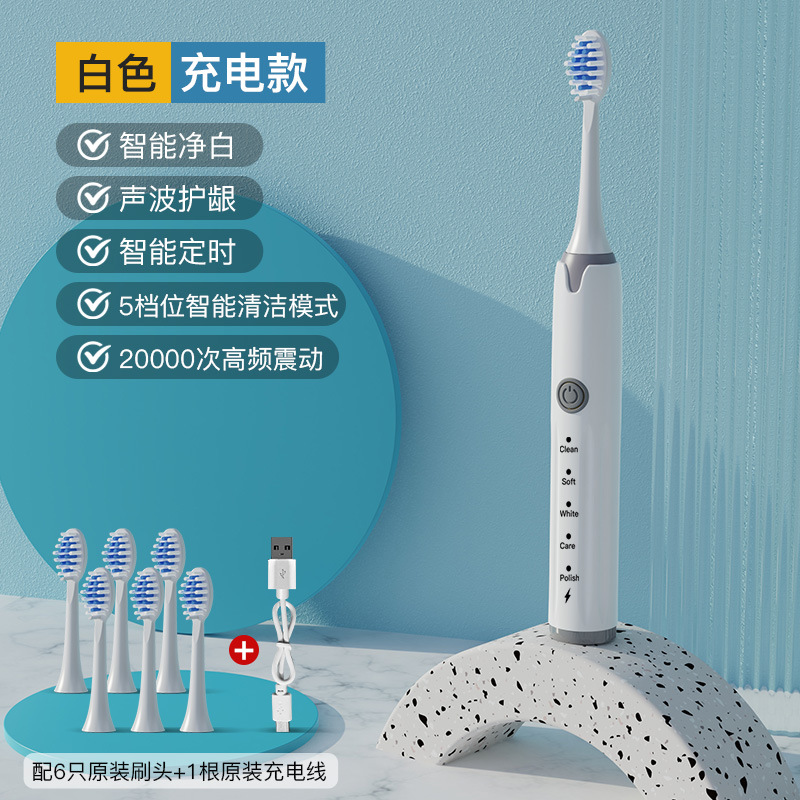 B 화이트 충전 모델 [6 브러시 헤드 + USB 충전 라인]