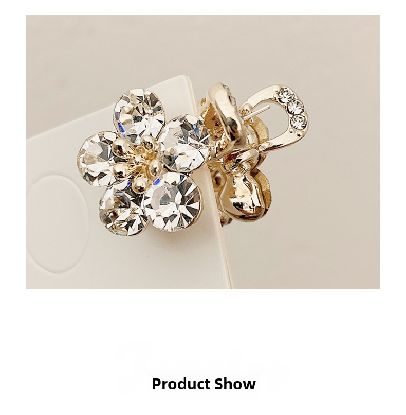 Small Bangs Grab Clip 2022 New Crystal Flower Side Hairpin Korean Internet Celebrity Mini Elegant Grab Hair Accessories_voghion.com