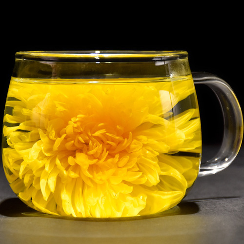 Spring City Misty Rain Golden Silk Chrysanthemum Yellow Chrysanthemum Tea Herbal Tea Substitute Tea Unfolding 8cm Flower Manufacturer Wholesale