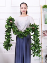 �G�~�ٻ���ֲ��Gֲ����늾������쾰�����~���҃����ϻ��ٗl�b�