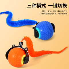 国境を越えて猫のボールのペットのおもちゃのボールをからかってボールを転がします。