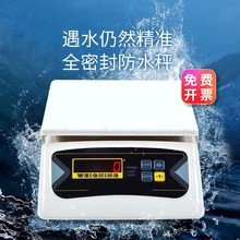 厦门佰伦斯防水计重秤BWS-616AR全密封防水 双面电子称 工业秤