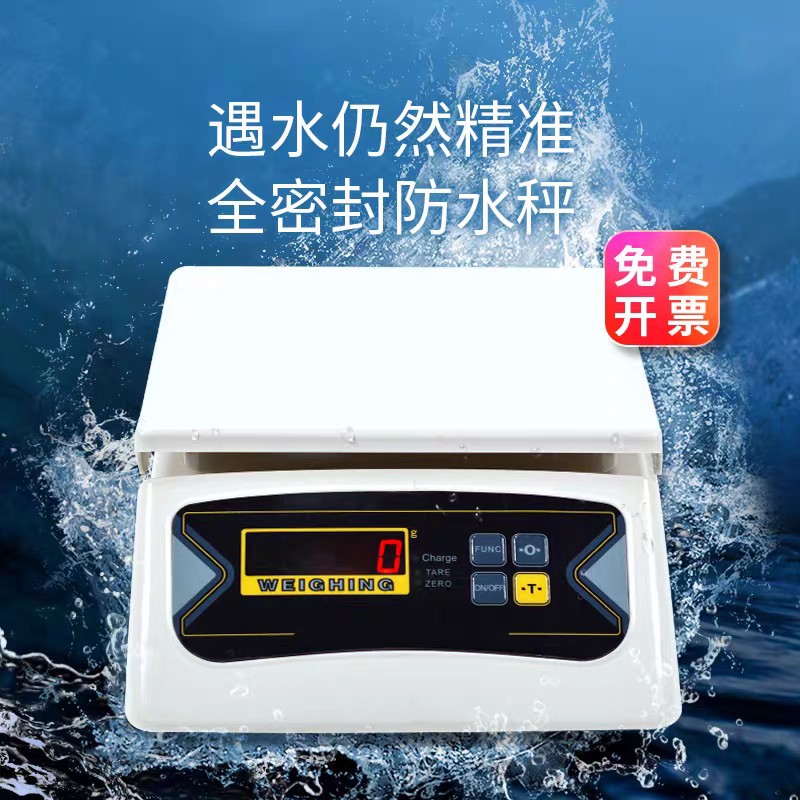 厦门佰伦斯防水计重秤BWS-616AR全密封防水 双面电子称 工业秤