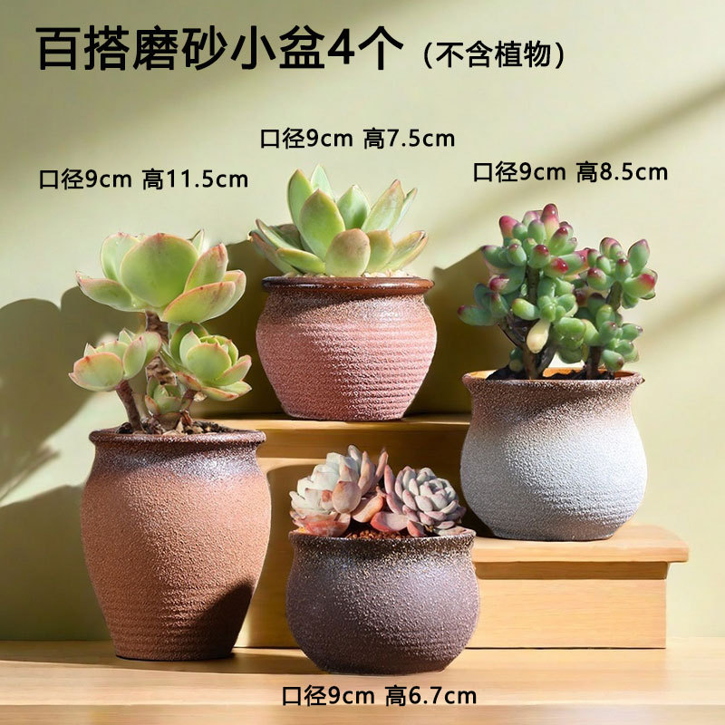 Maceta de carne esmerilada, maceta suculosa, balcón, planta de carne doméstica, cerámica, maceta de arcilla especial, venta directa de fábrica, venta al por mayor