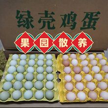 绿壳鸡蛋新鲜土鸡蛋农家散养虫草乌鸡蛋批发420枚整箱外贸厂批发