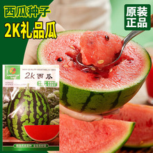 2KϷNӶYƷСѱƤtȿEAˮϷN߮a