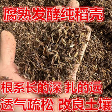 �����l�͸��쵾�Ț�����ֲ̿�ﻨ��ͨ�ðl���ЙC���B���N�ˠI�B��