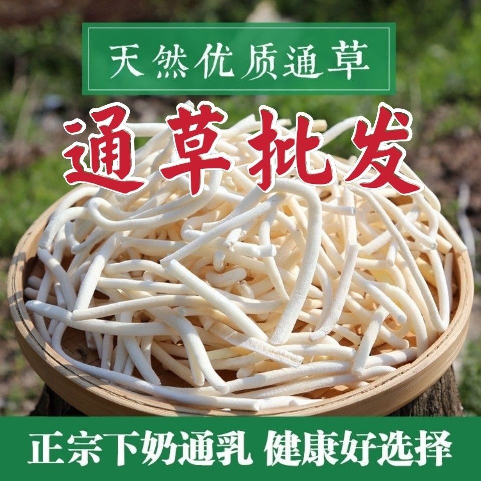 小通草野生中草药通草中药材另哺乳期通草新货正品
