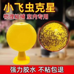 Fruit Fly Trap Small Flying Insect Killing Artifact Indoor Removal Mosquito Buster Kitchen Midge Armyworm Ball Trap Flies