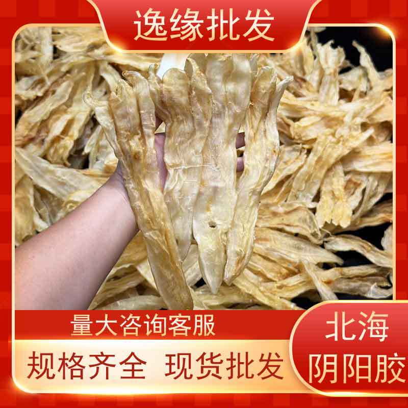 工厂直销北海阴阳胶鳘鱼胶海味干货批发阴阳肚月子滋补条优质花胶