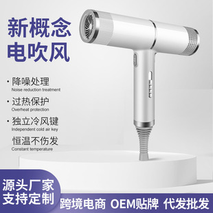 Household High-Power Hair Dryer Student Dormitory Hair Dryer Hair Salon Hair Export Hair Dryer Manufacturer