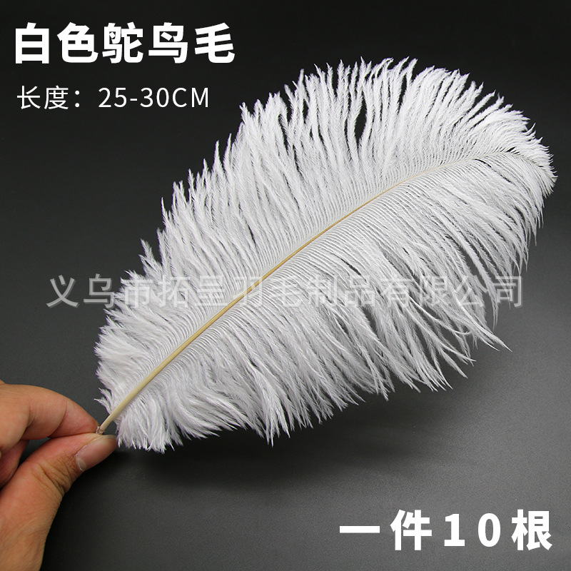 14호 25-30cm 타조깃털 10개