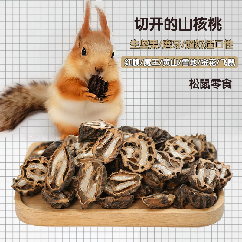 Изрезанные горные орехи белка белка летяги еда еда еда еда моляры тренировки рук кормление основных продуктов питания