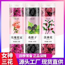 女神三花茶罐装玫瑰桑椹洛神花茶