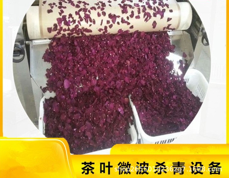 新型微波茶叶烘干杀青设备 广州沃斯特流水线荷叶桑叶固色机