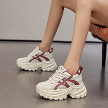 �W��͸���\��ЬŮ2026�ı���͸��ٴ��ɸ���8CM�������e�ϵ�Ь