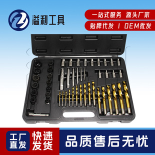 53Pcs Screw Extractor and Left Hand Drill Bits Set