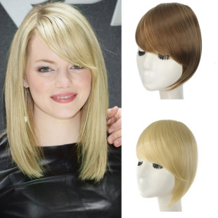 Factory Spot Wholesale Wig Oblique Bangs Hair Piece Extended Foreign Trade Color One Piece Two Card Wig Bangs Piece for Women