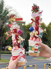 �}�Q����ݮ�������b��ɲݱ���ݮ������Ȧ�~�ӶY�������Y�}�Q�忨