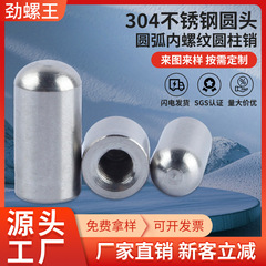 304ステンレス内歯位置決めピンピンm 2/M3/M4/m 5/m 6円弧形内ねじ円柱ピン