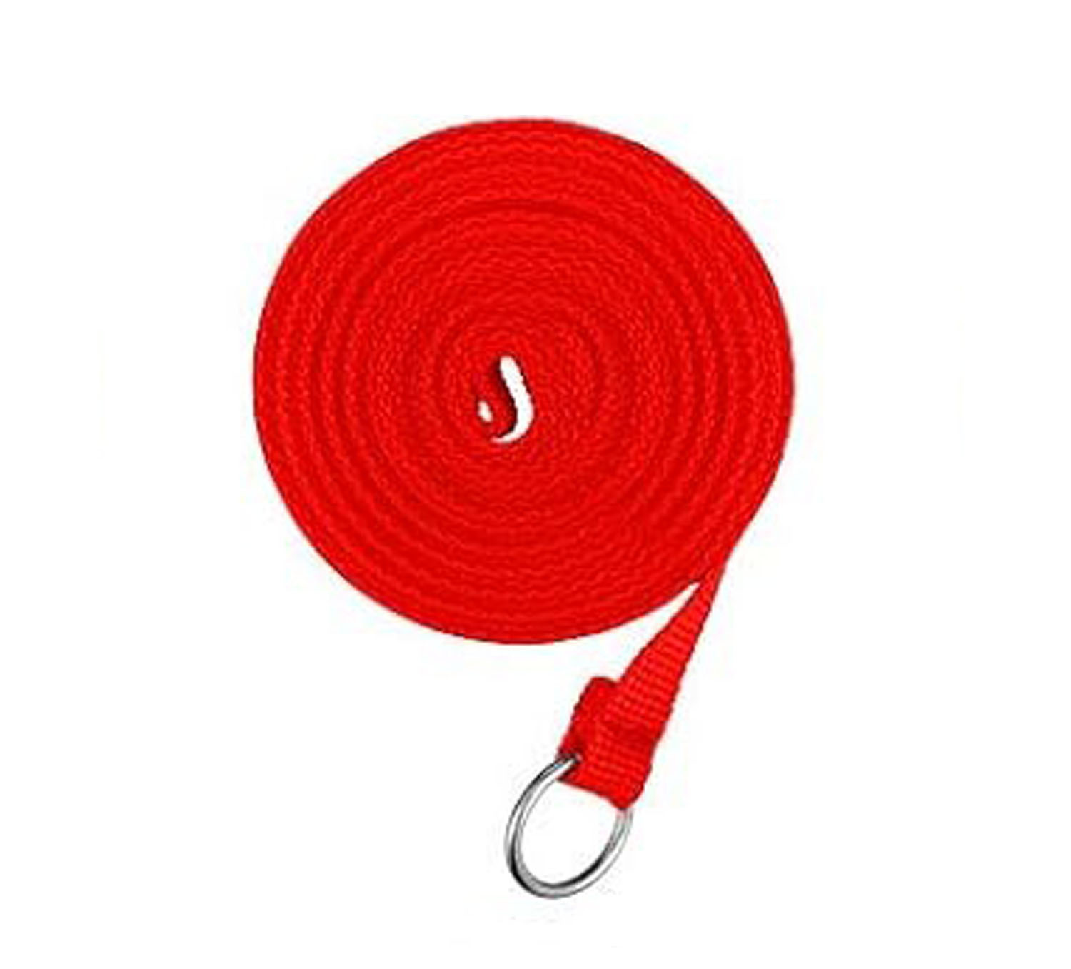 18 Gleitleinen Haustier 1,5 cm Geeignet für kleine und mittelgroße Hunde Trainingsleine mit O-Ring_voghion.com