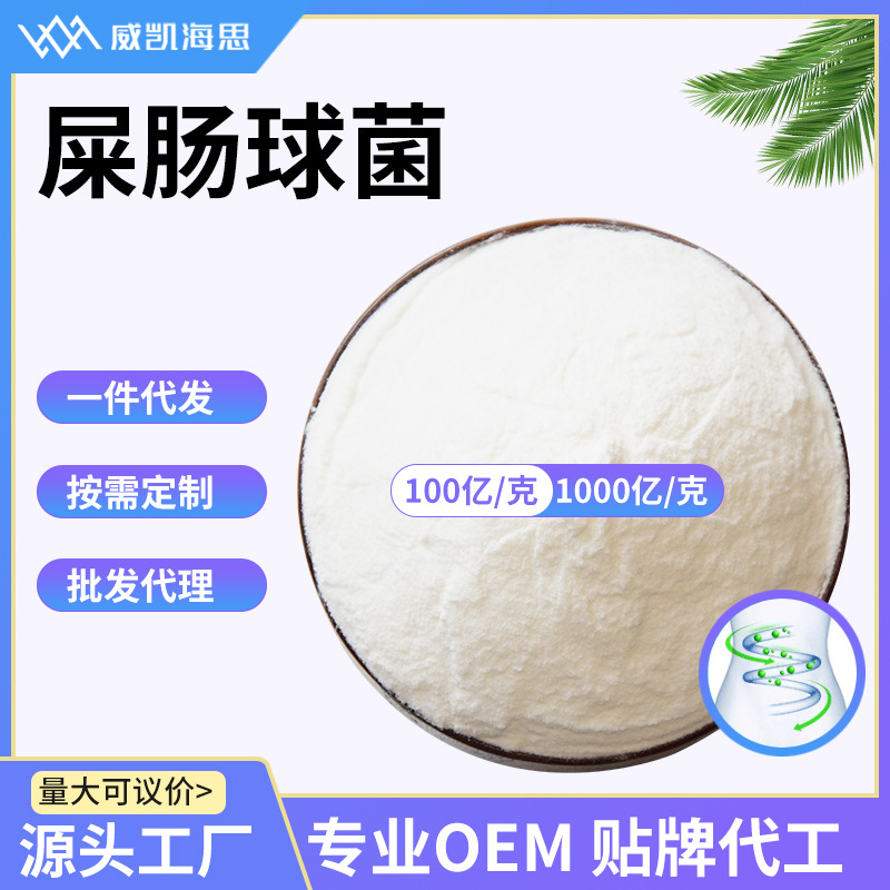 屎肠球菌 粪肠球菌  乳酸菌冻干粉1000亿饲料级水产宠物养殖添加