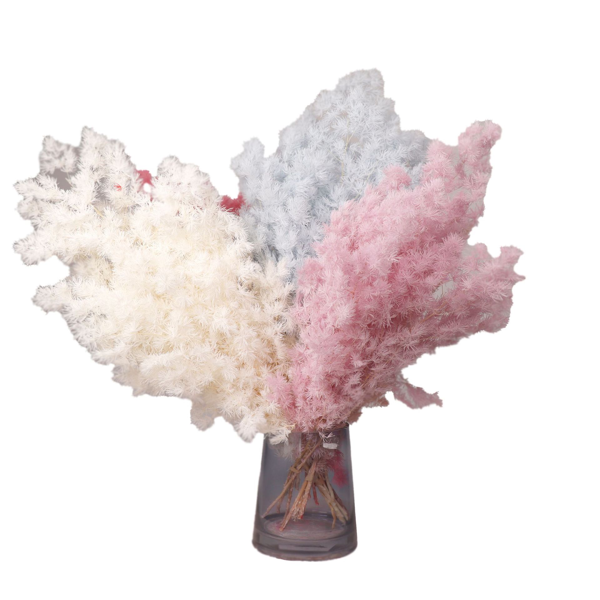 Pino Penglai flor eterna Navidad Pino preservado flor seca ramo Yunnan flor decoración del hogar Accesorios de tiro