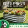 定制盆栽组合育苗花盆
