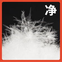 &isin;���q �Z���qɢ�b�������ϴ�ж� �������Z�q��q����q�����