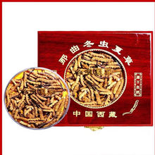 虫草大断草 西藏那曲青海玉树冬虫夏草 断草 1克2-3根冬虫草真货