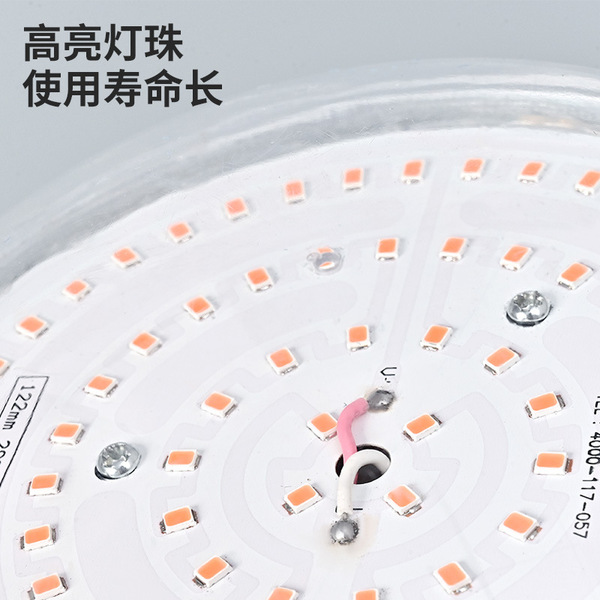 LED fill light