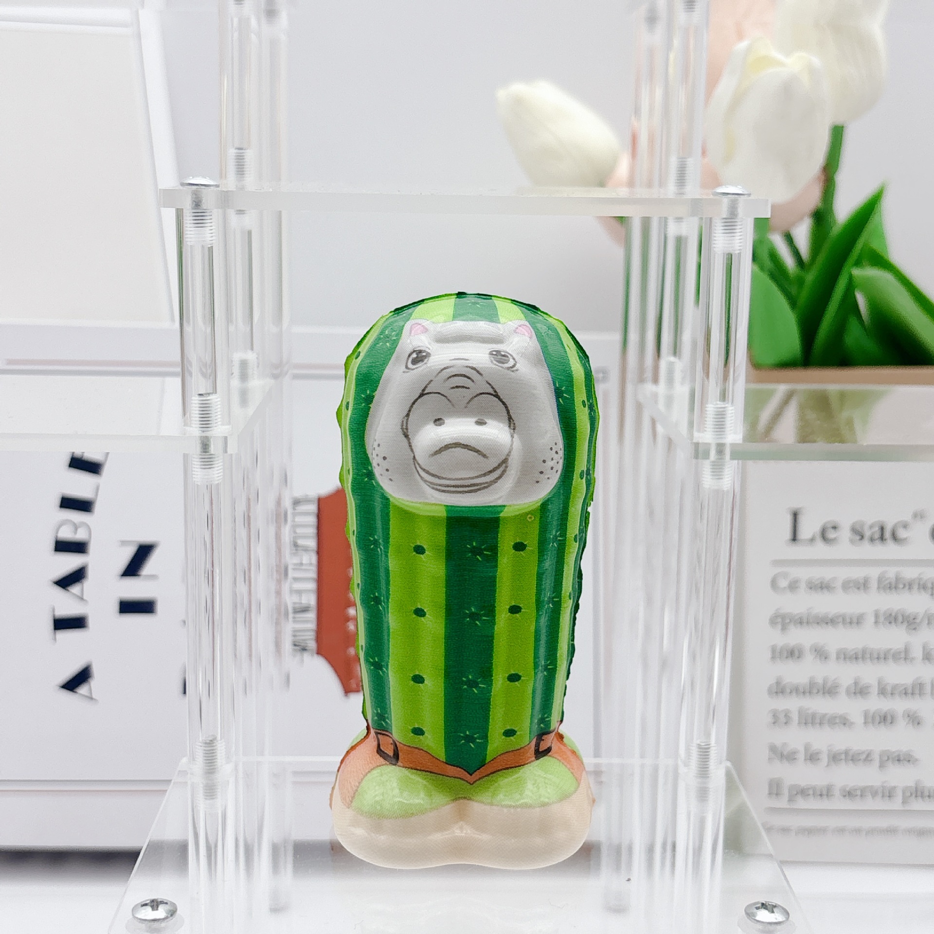 산해경 9호 [하마선인장]