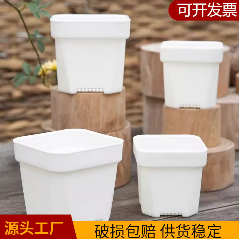 多肉专用盆塑料花盆加厚大小白方多肉盆多肉植物小花盆育苗盆方形|undefined