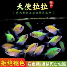 ��ʹ�~�^�p�~����С�͵�ˮ���B�ͻ�t��ʹ�ϻ��Ꭷ�~�����~�����~